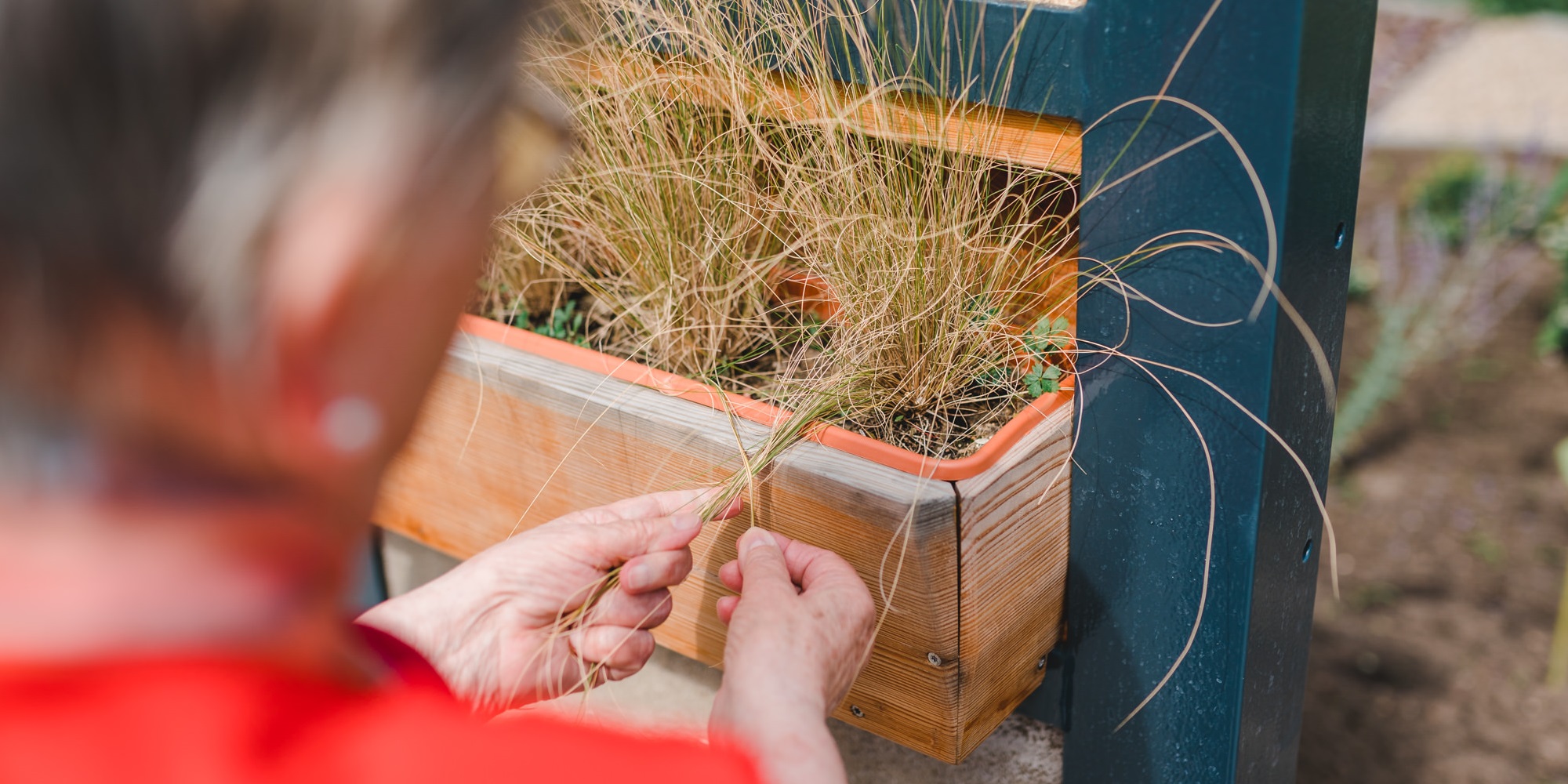 Bewohnerin erfühlt Gras aus dem Hochbeet mit Händen